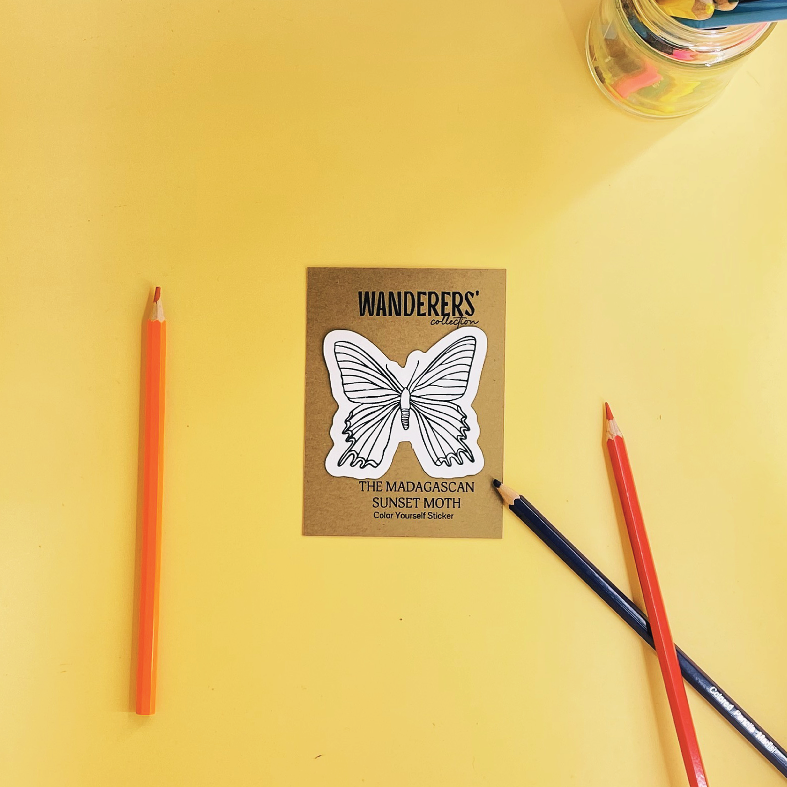 The Madagascan Sunset Moth | Color In Sticker