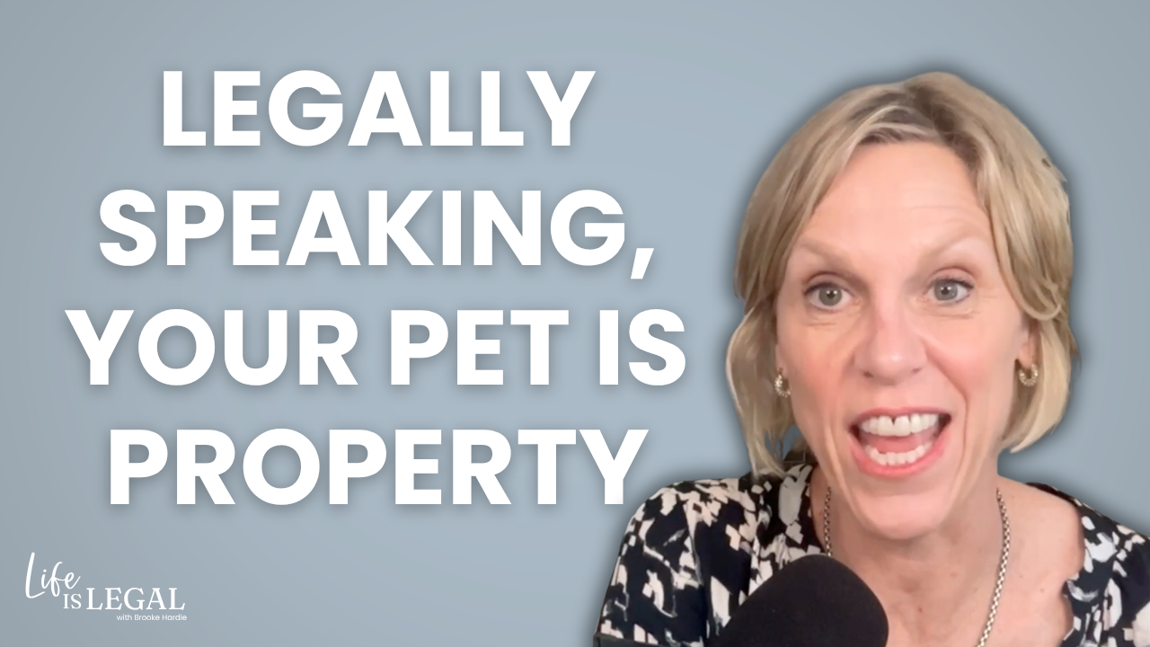 Dog Bites, Service Animals, and Pet Trusts: What Every Pet Owner Needs to Know | Ep 22