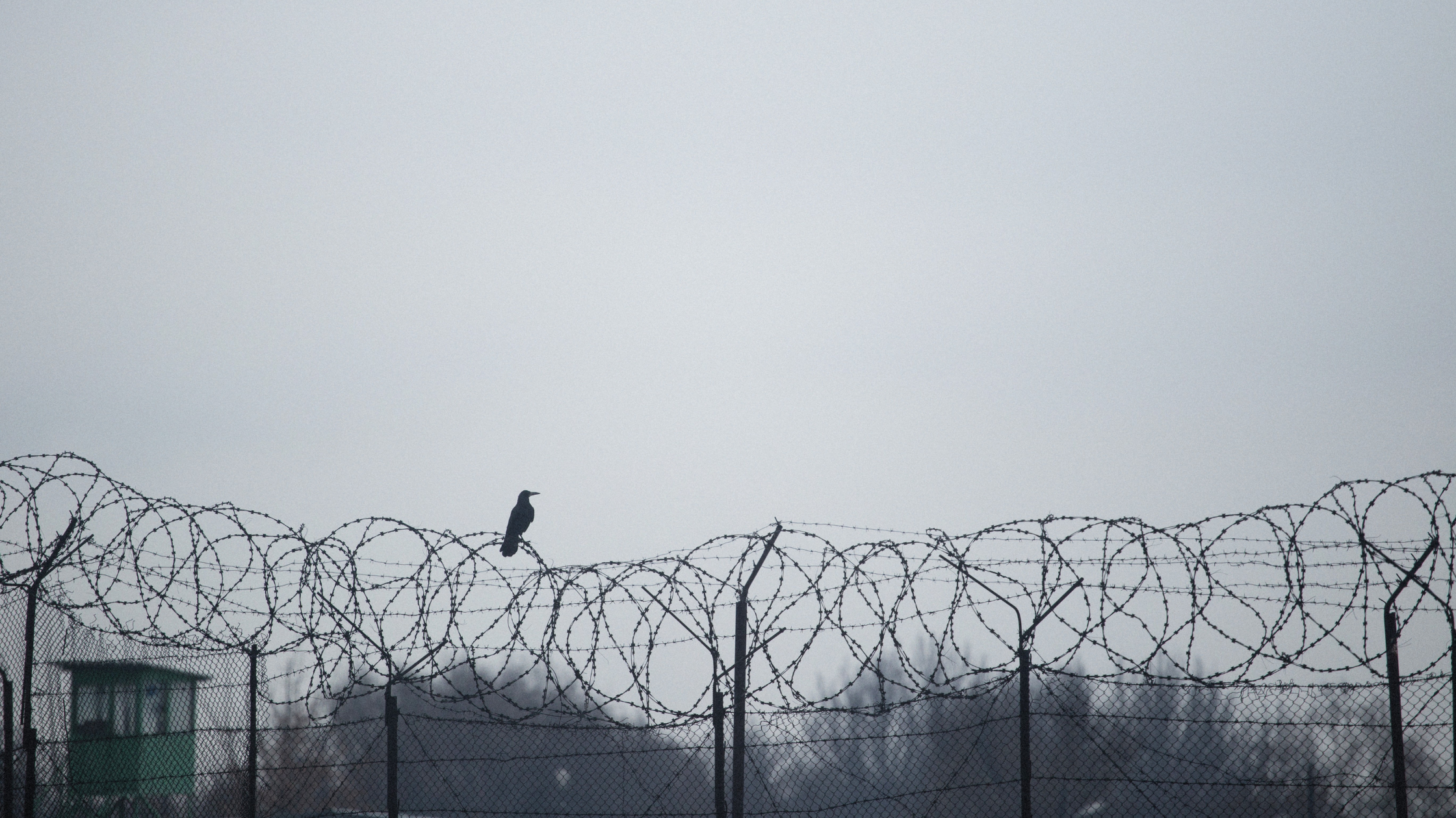 What’s Actually Happening With Immigration Right Now