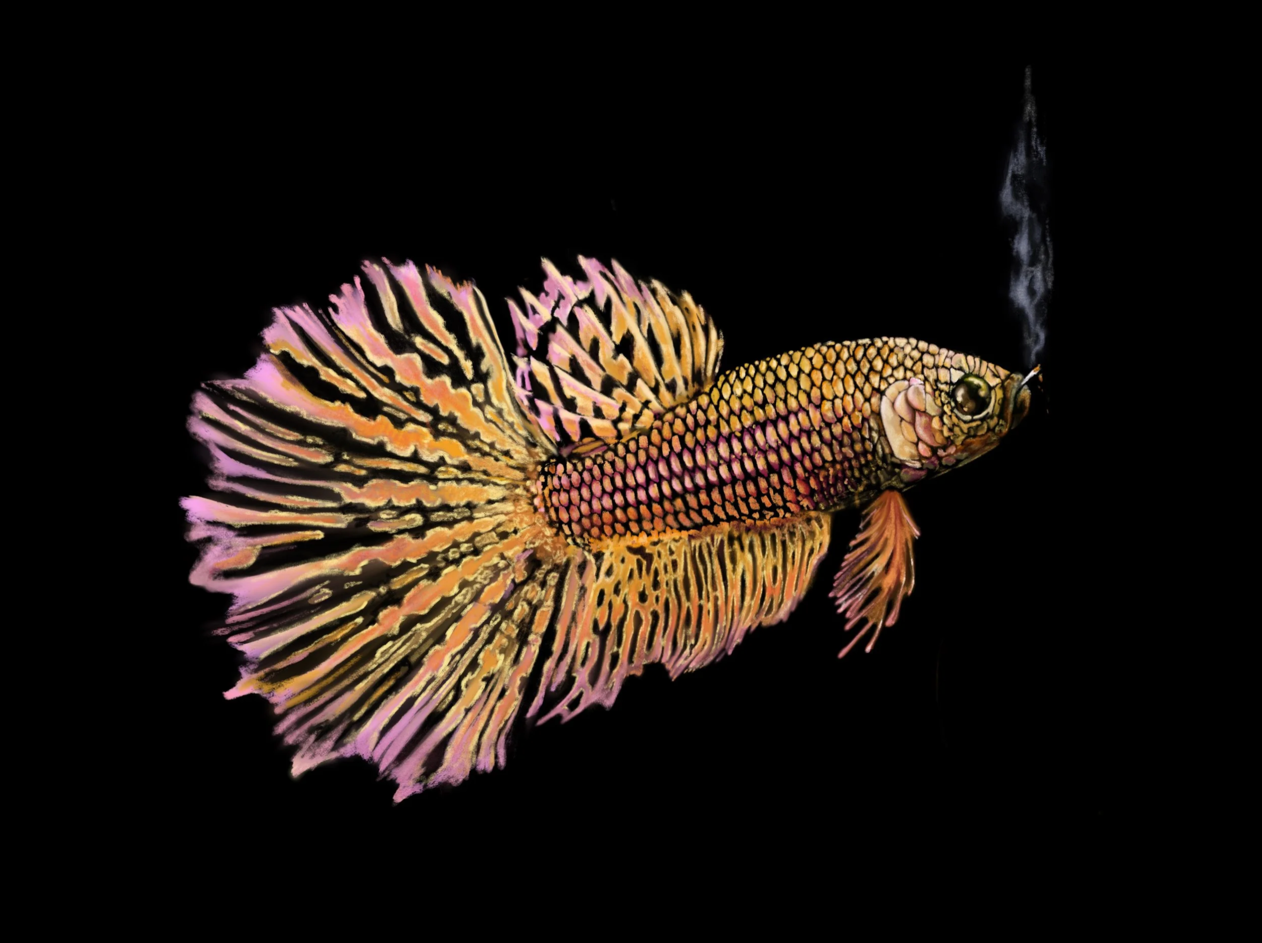 Screenshot 2026-01-29 at 11.34.13 AM.png