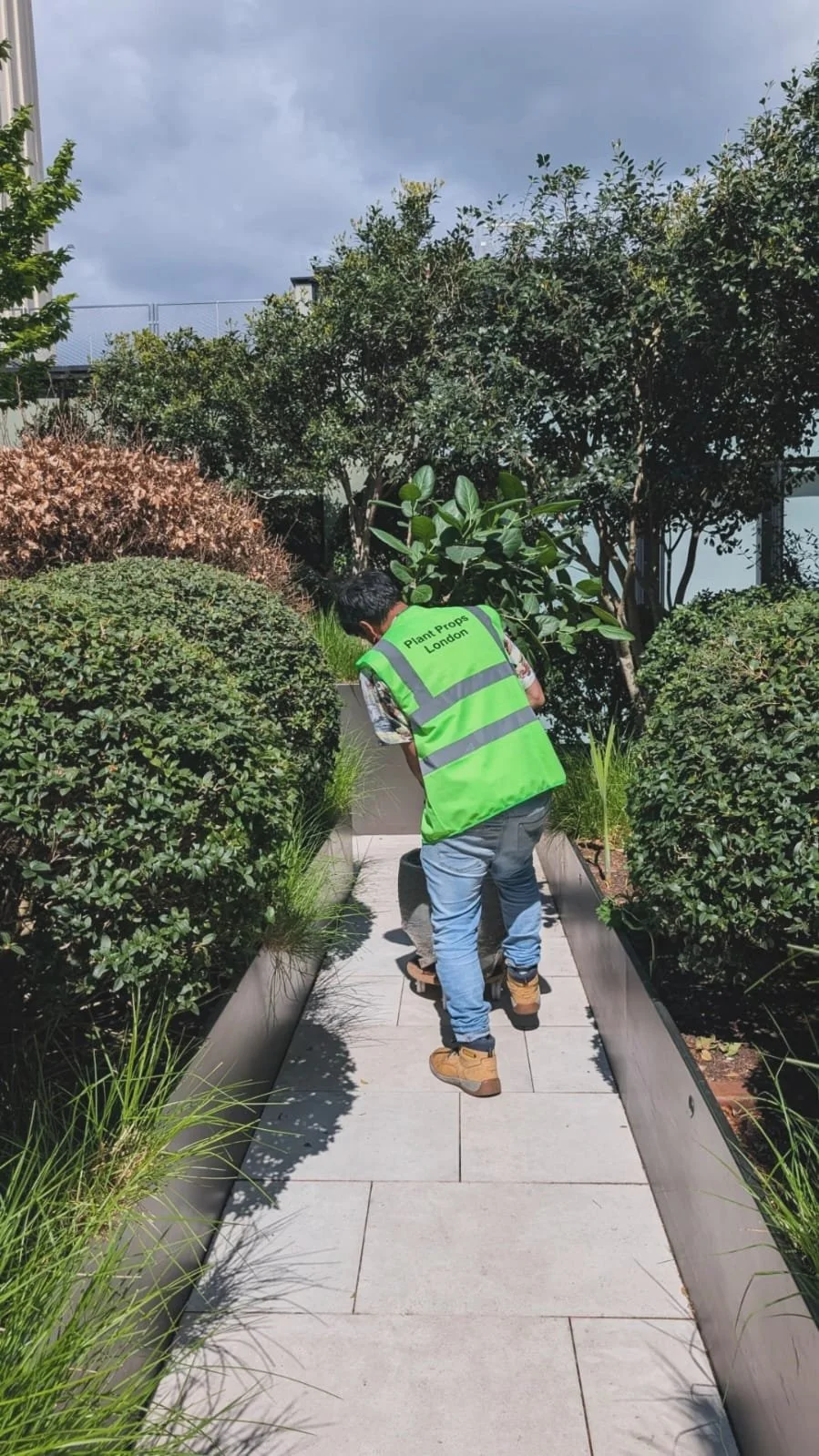 Plant install branded activation 7.jpeg