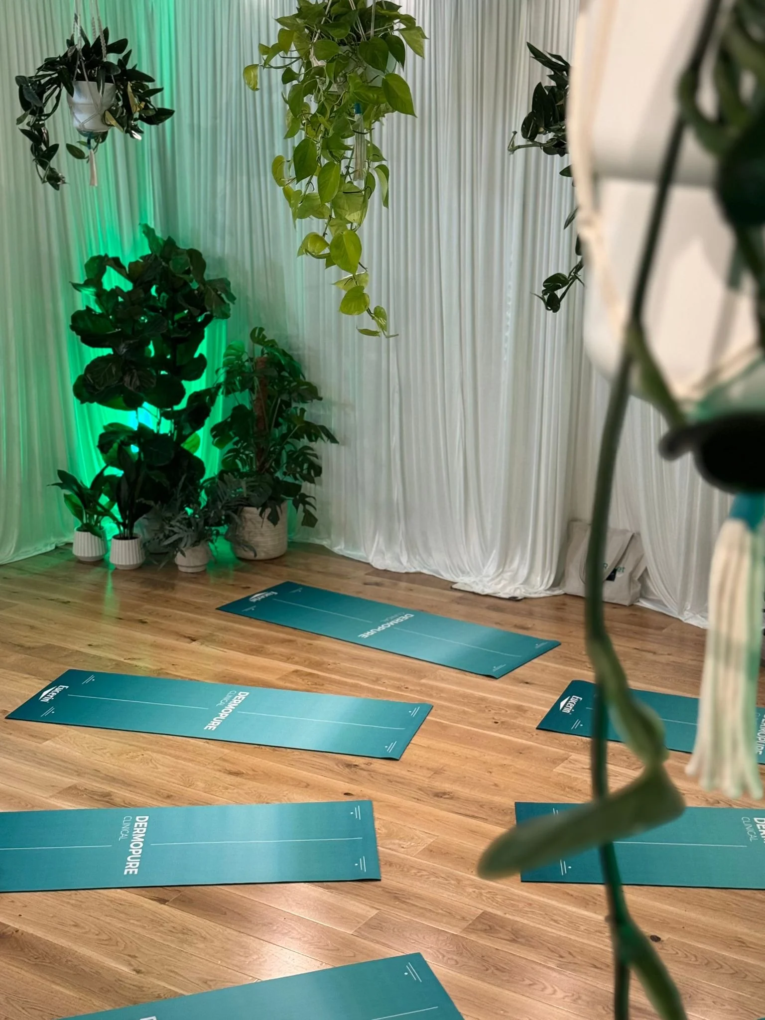 branded activations green set dressing, plants and flowers