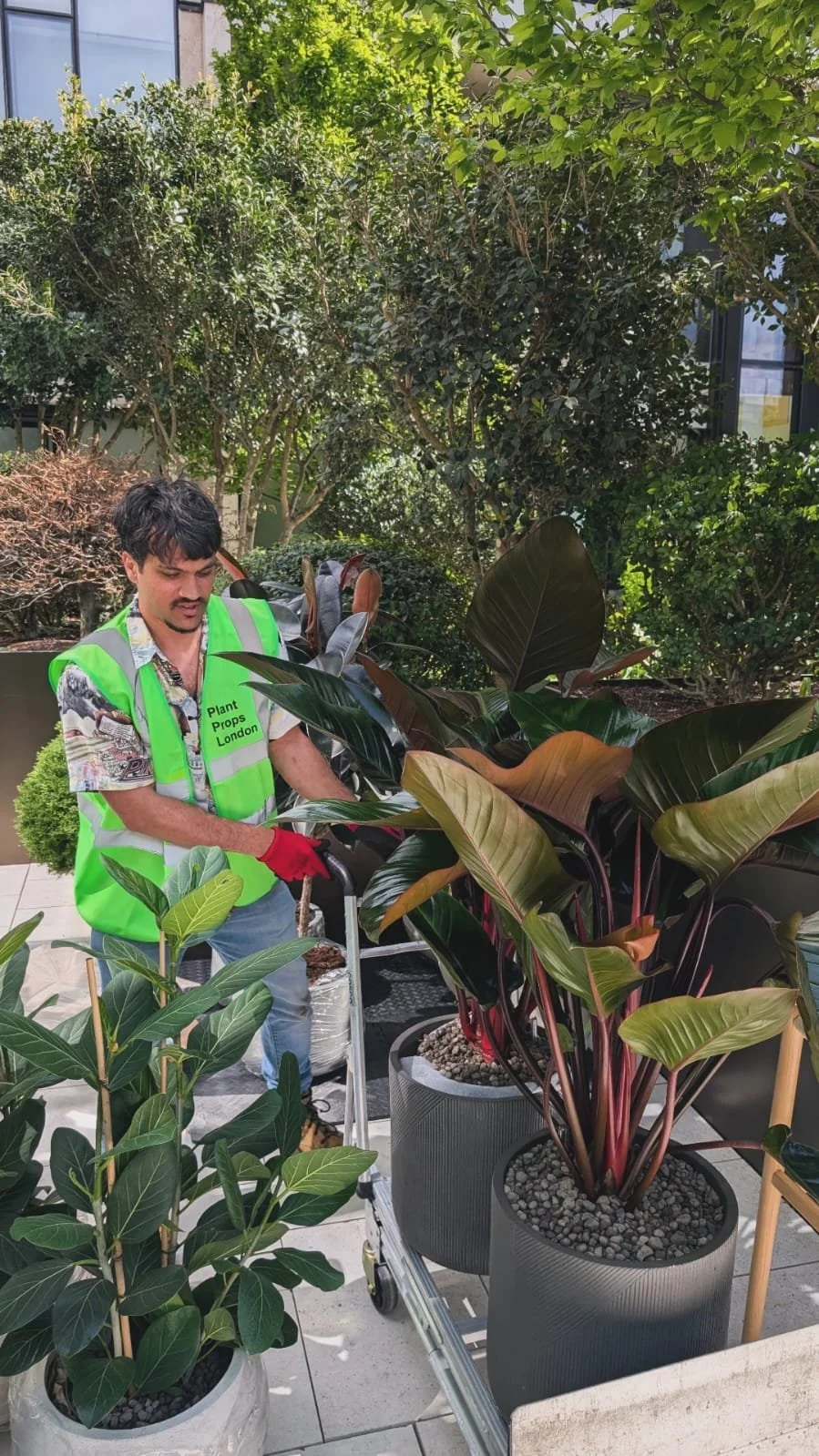 Plant install branded activation 4.jpeg