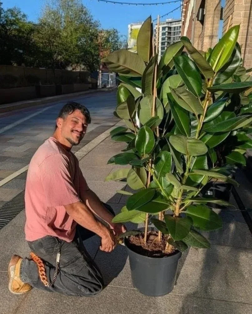 plant install team for branded activations