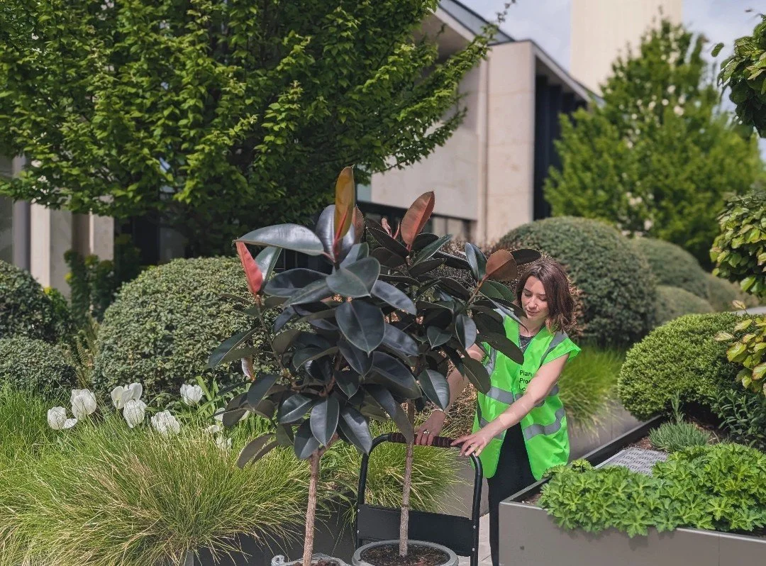 Foliage install branded activation 2.jpeg