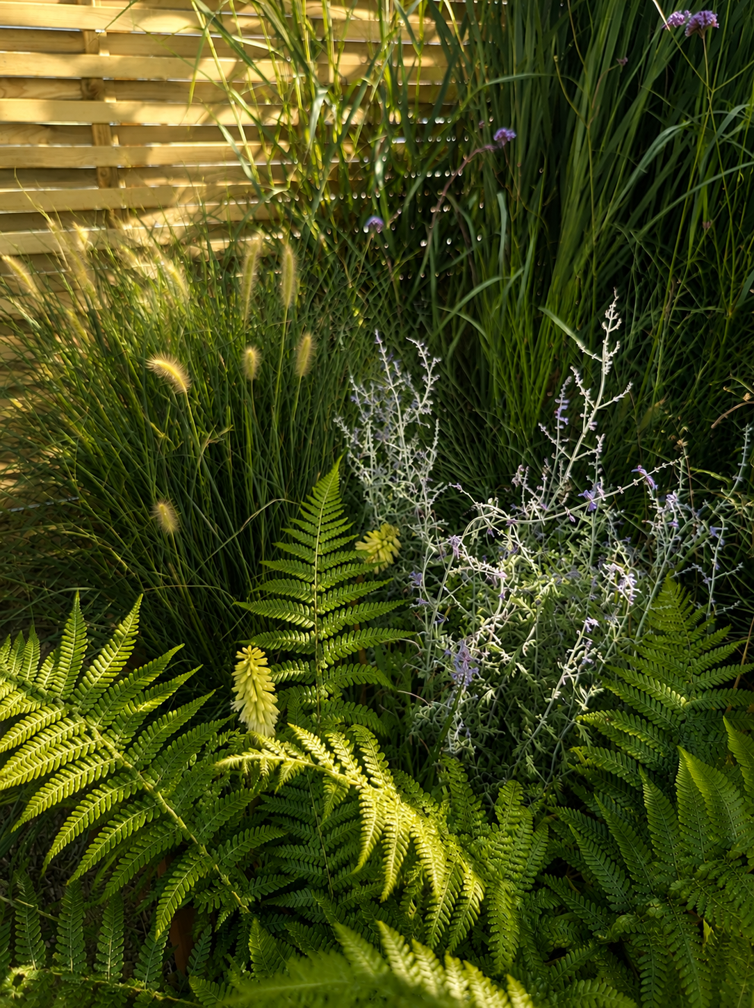 London Event Plants Install Landscaping.png