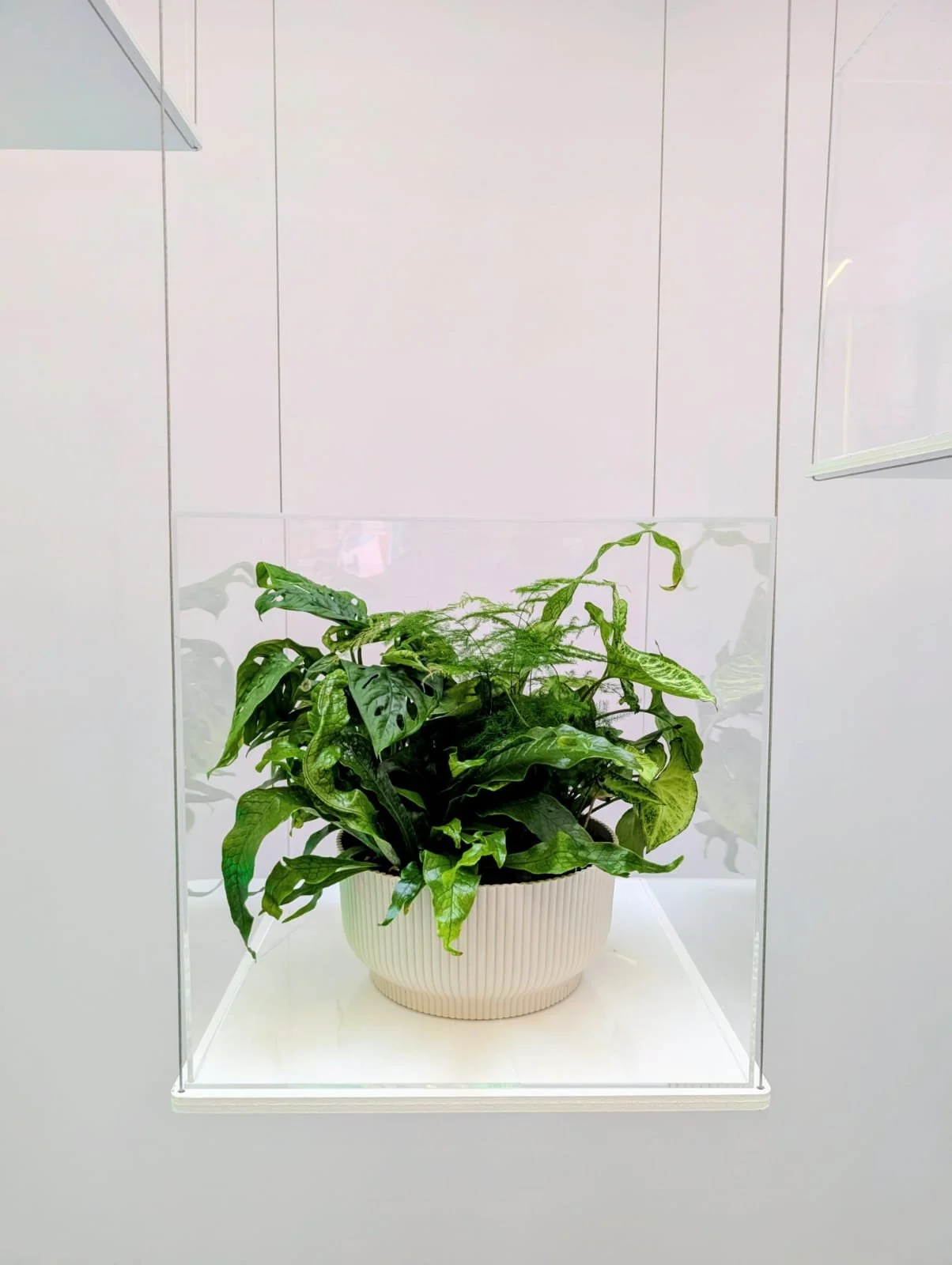 Bramd activation plant design.jpeg
