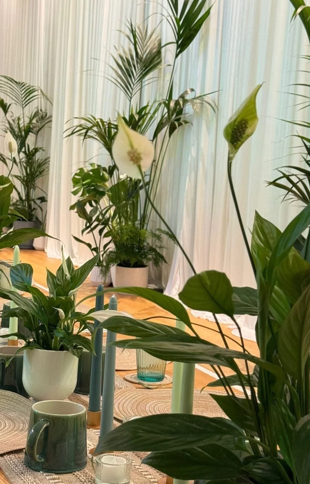 plant and pot styling hire london