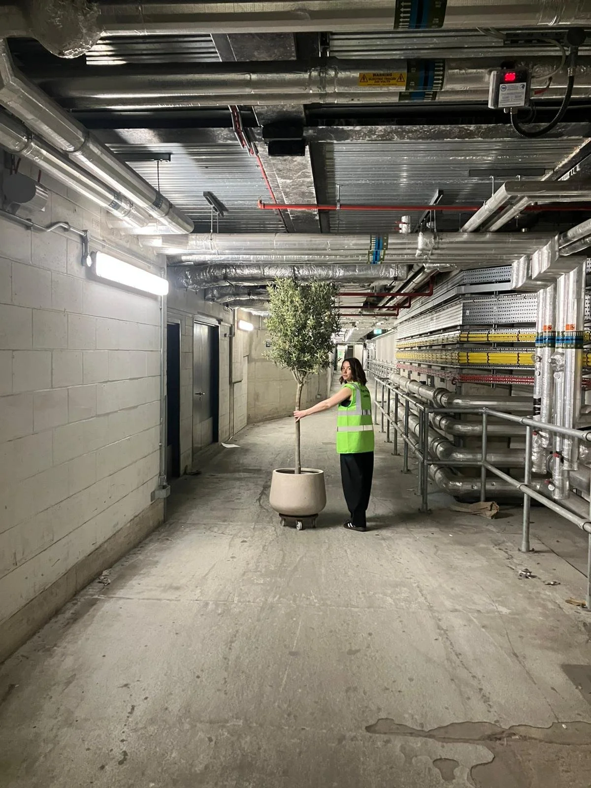 Plant install branded activation 2.jpeg