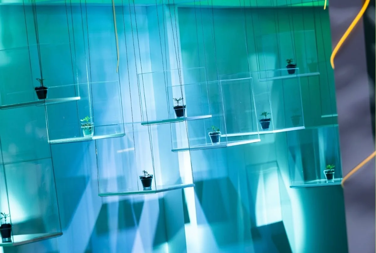 Plants Brand Activation.jpeg