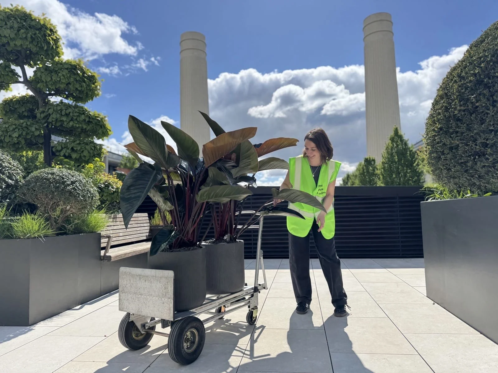 Foliage install branded activation.jpeg