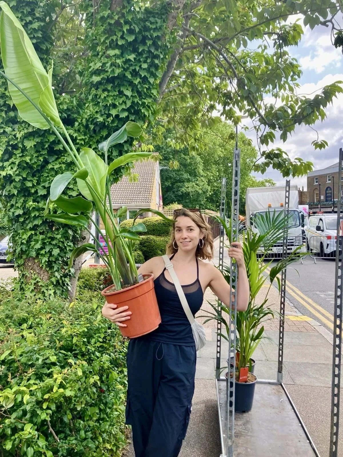 plant hire and install events london