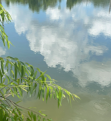 Start Here: A Gentle Beginning