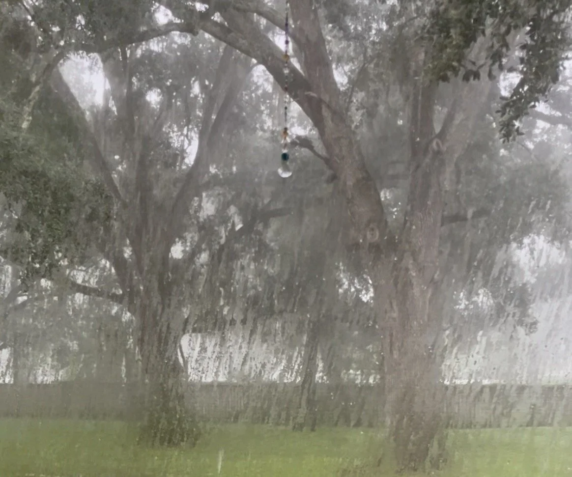 Rain, a Poem, and Letting Go
