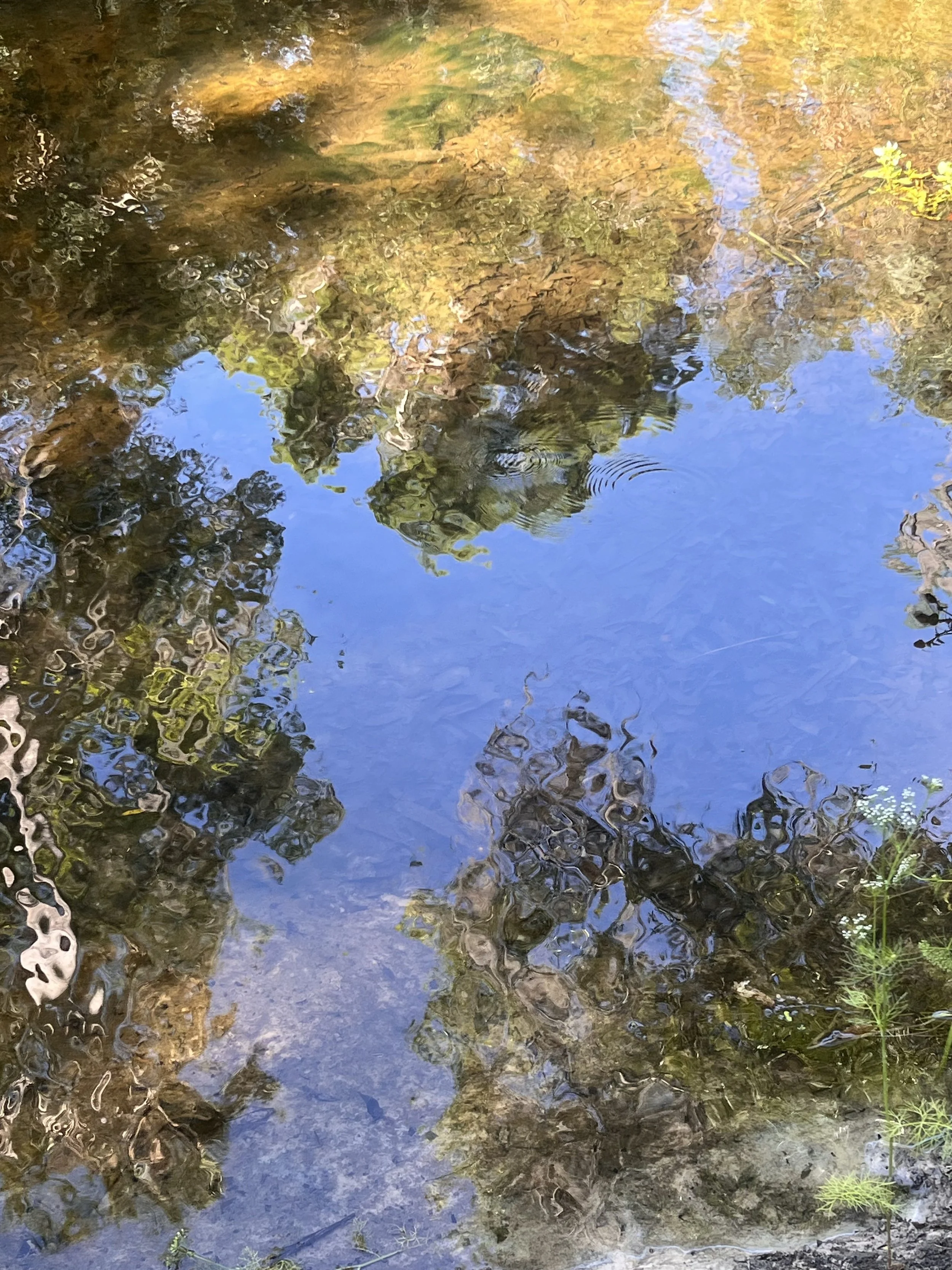 Reflections of trees and sky in a shallow stream with rocks and pebbles on the riverbed.