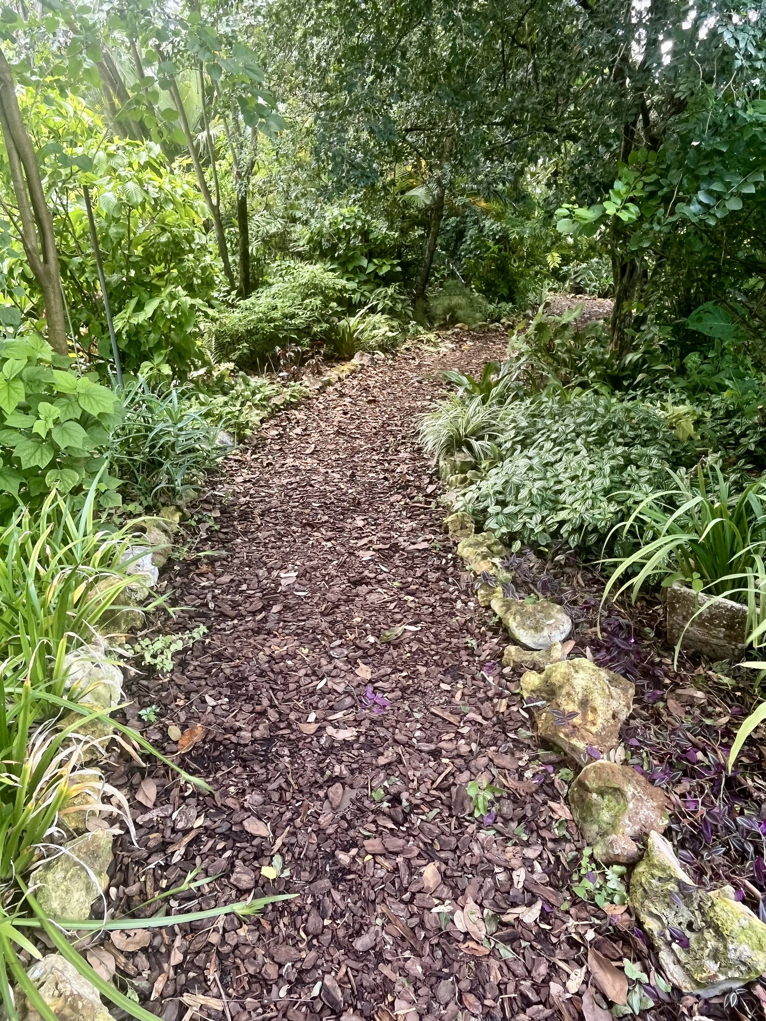 A narrow dirt garden or forest trail covered with wood chips, surrounded by lush green plants and trees.