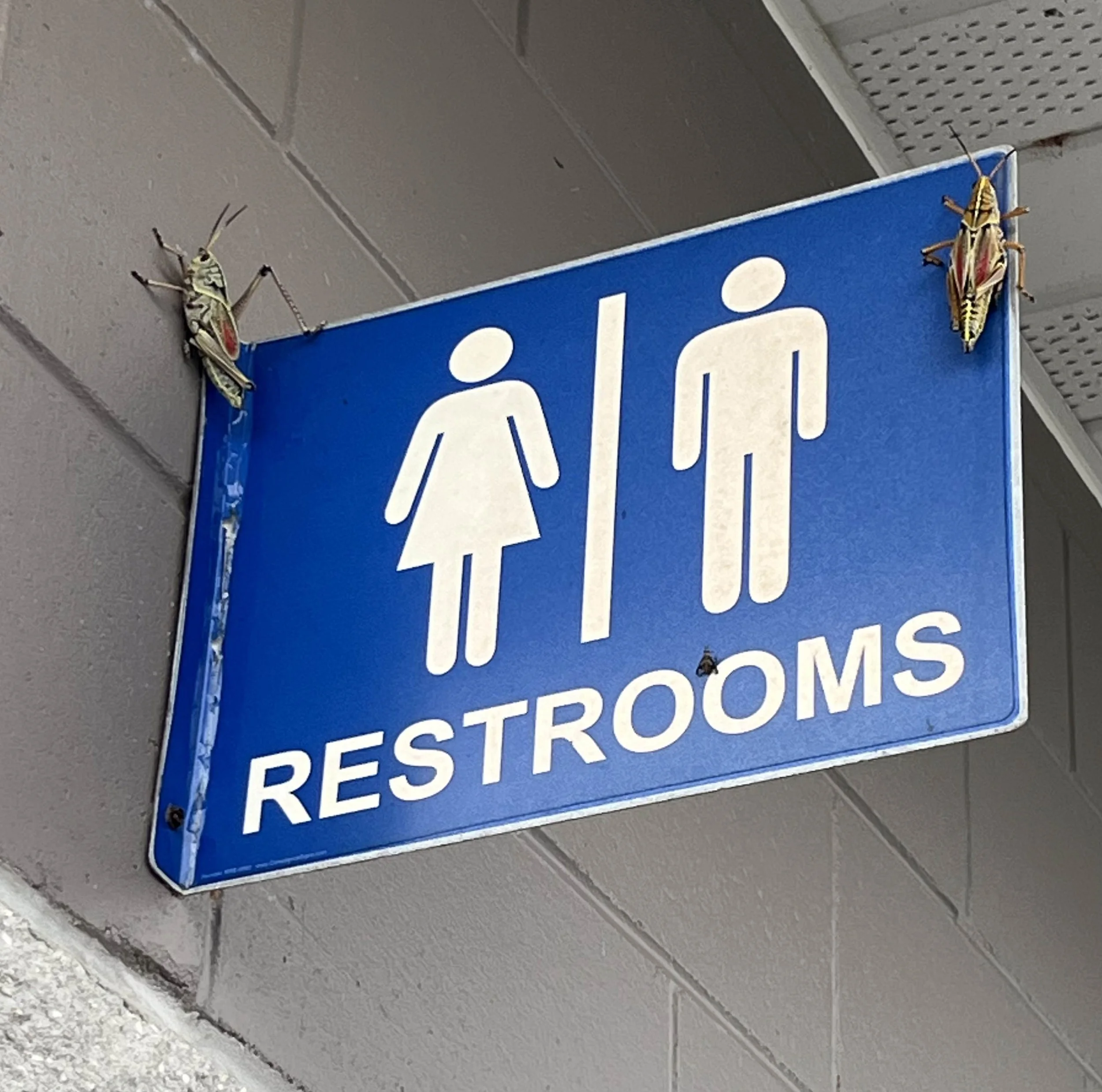 Even the restroom sign has Everglades residents.