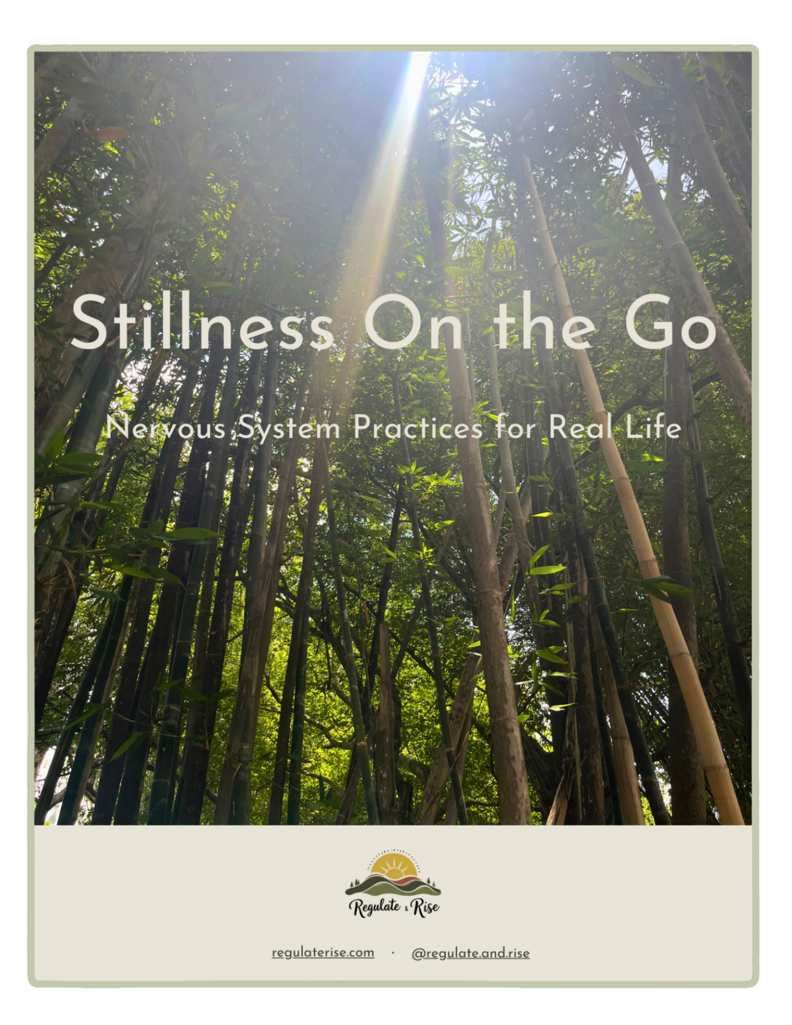 The image features a forest with tall trees and sunlight streaming through the leaves. There is a logo at the bottom with a sunrise over hills and the text 'Regulate & Rise.' Below the logo, there are website and social media handles.