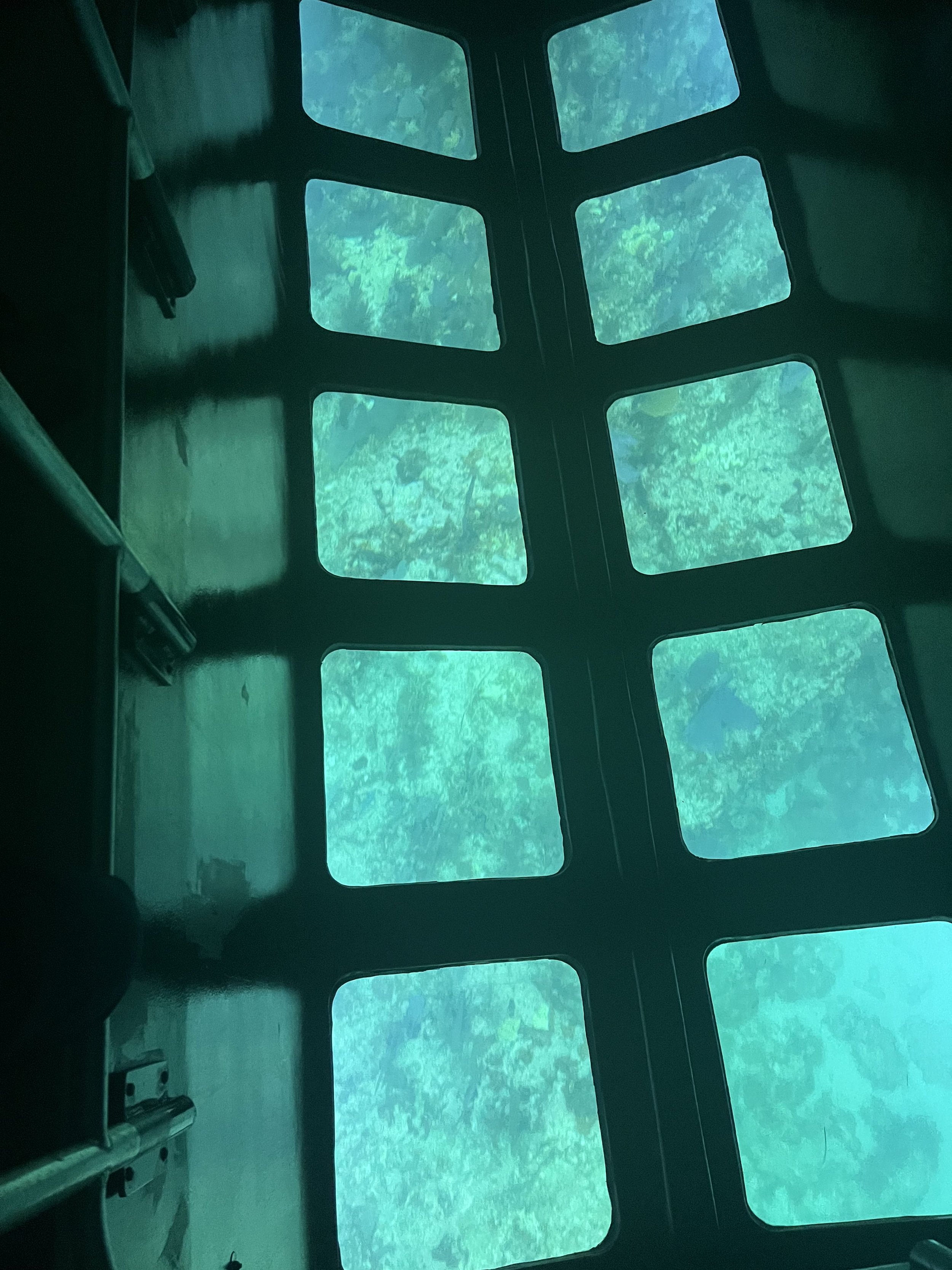 The ocean floor lit up below us. Creatures floating by.