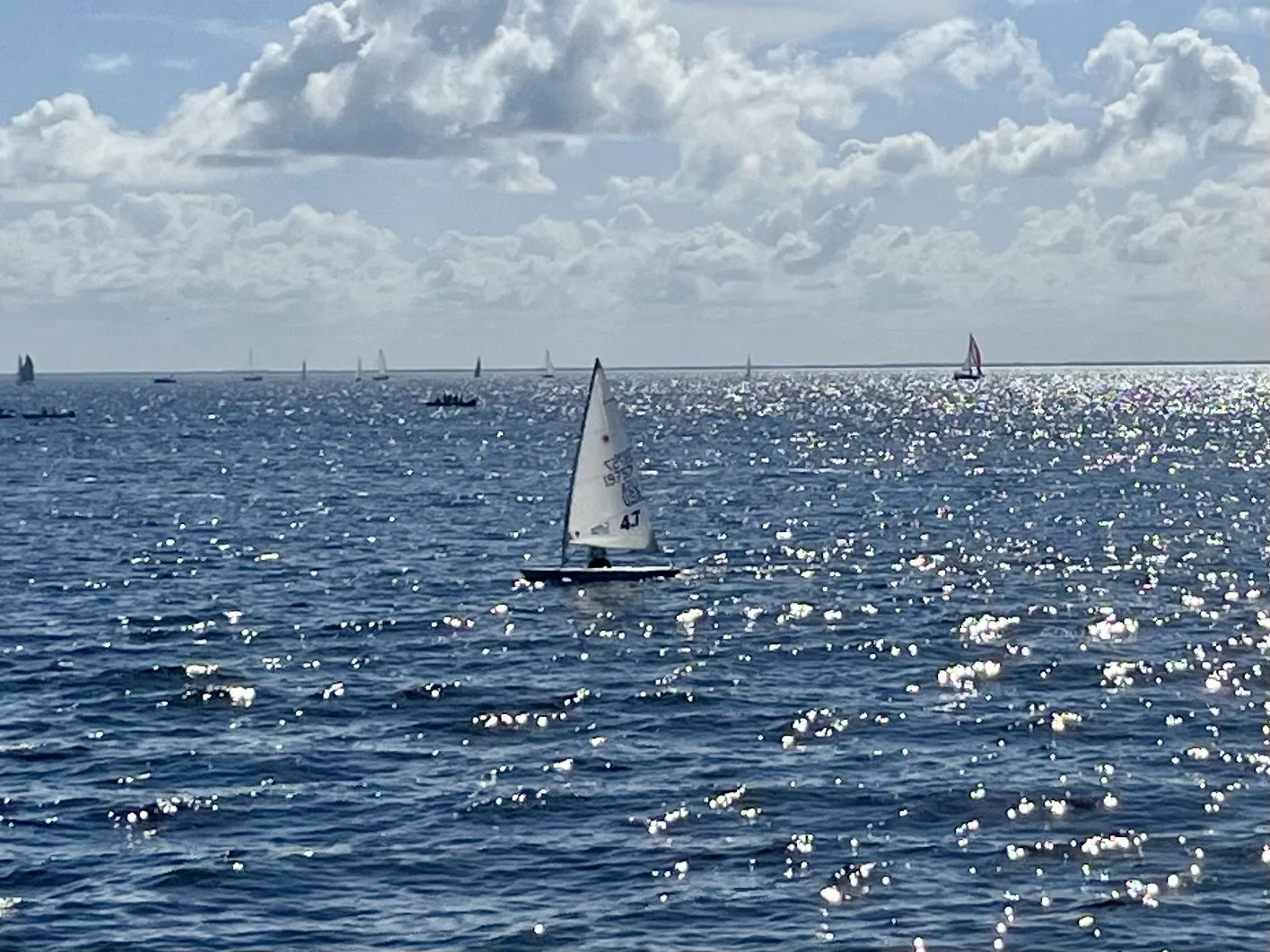 A small sailboat with a white sail floating on shimmering blue ocean water with a cloudy sky overhead. In the background, there are numerous other sailboats and boats on the water, and a distant bridge stretches across the horizon.