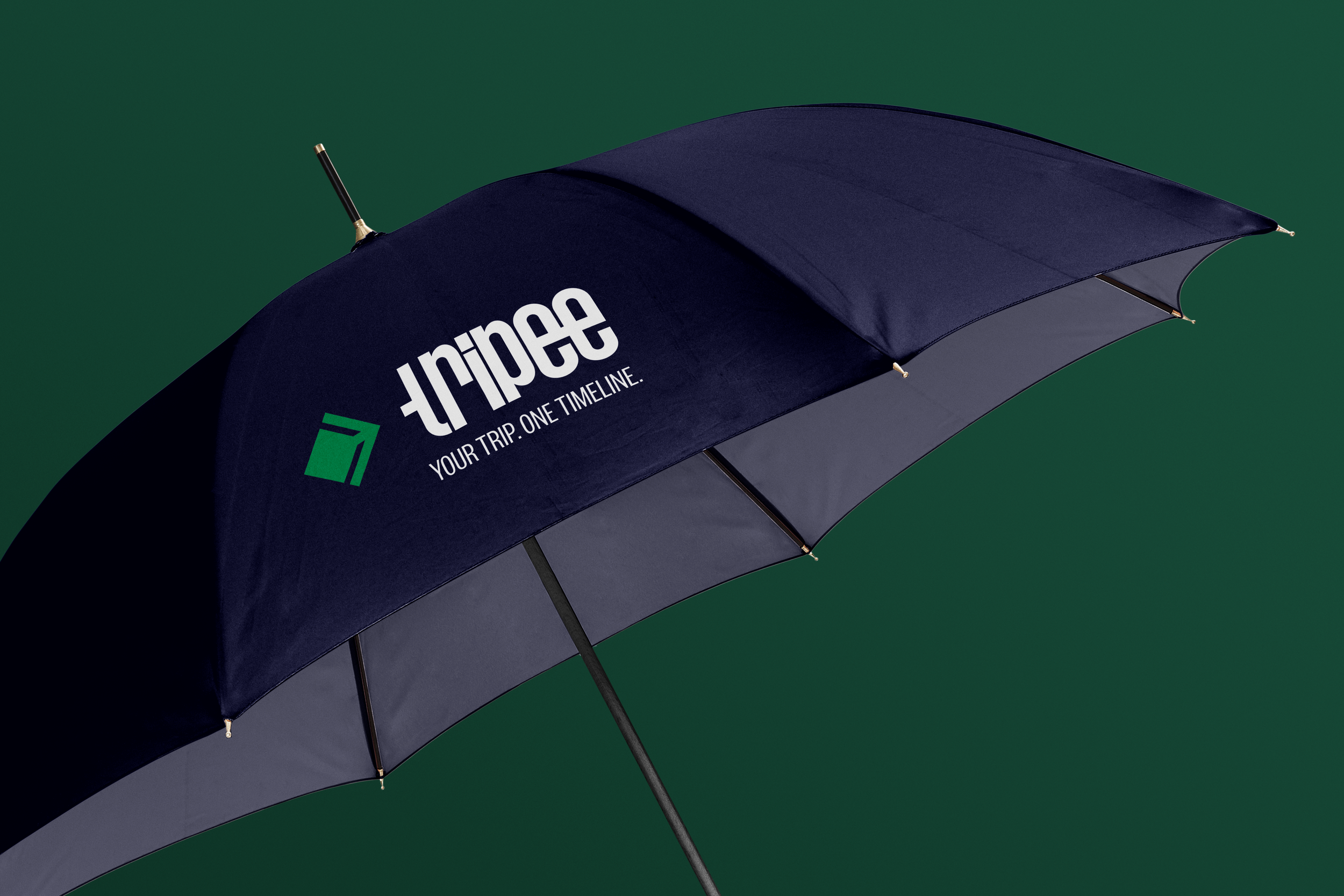 umbrella.png