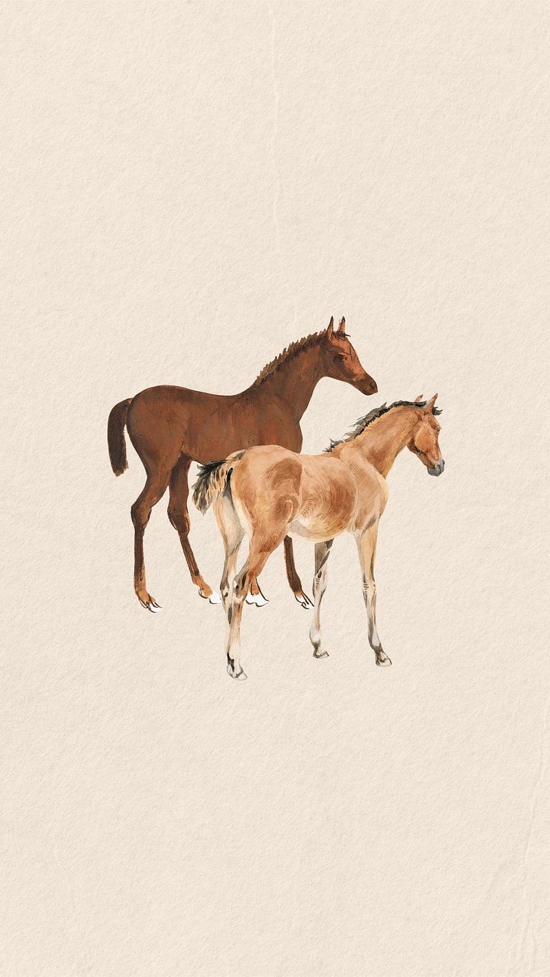 Illustration of two horses, one brown and one tan, standing against a neutral background.