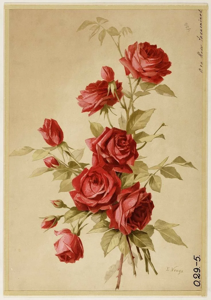 A vintage botanical illustration of red roses with green leaves against a beige background.