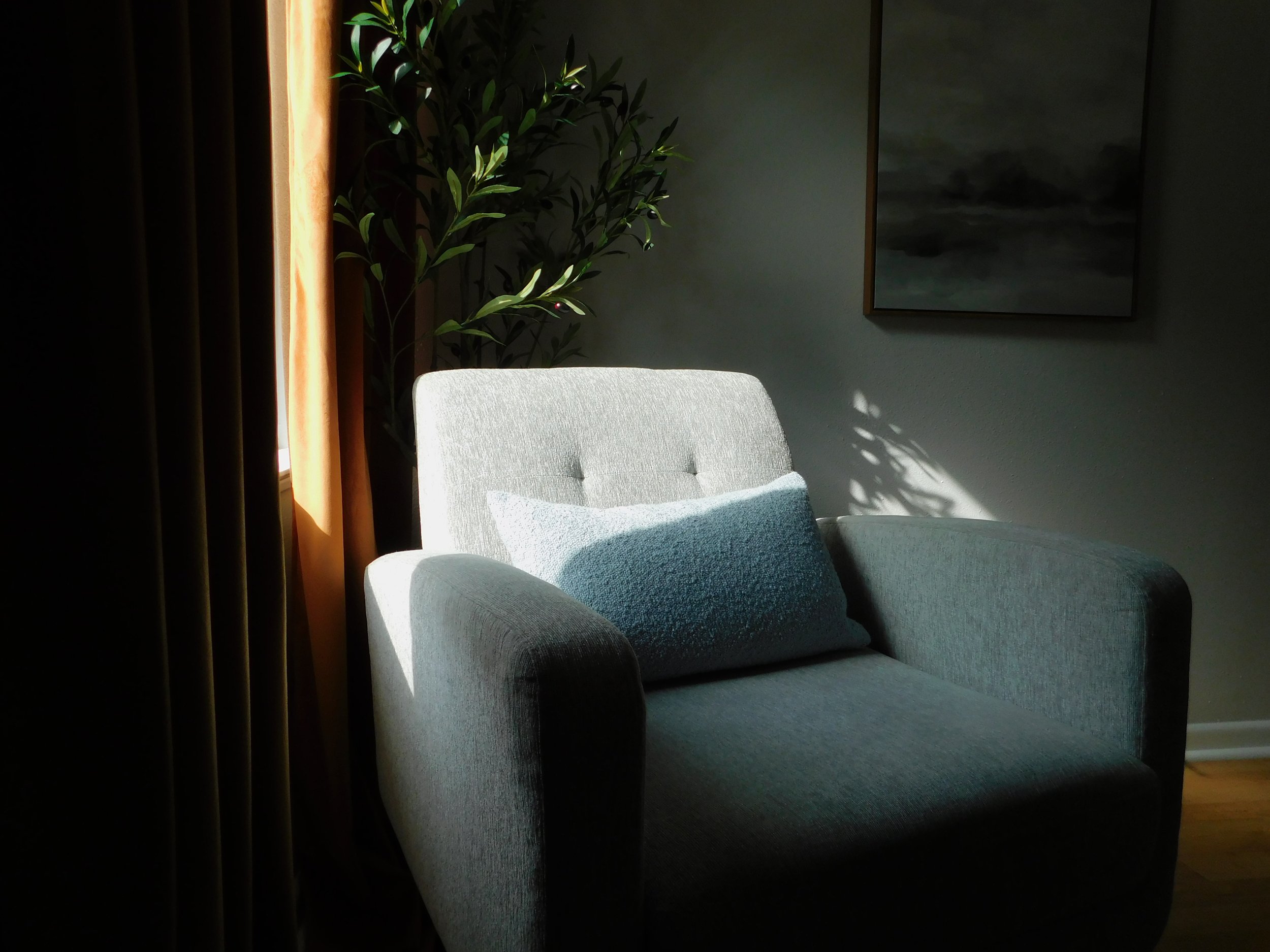 luziatherapysuites-suite-b-cozy-therapy-office-natural-light-chair.JPG