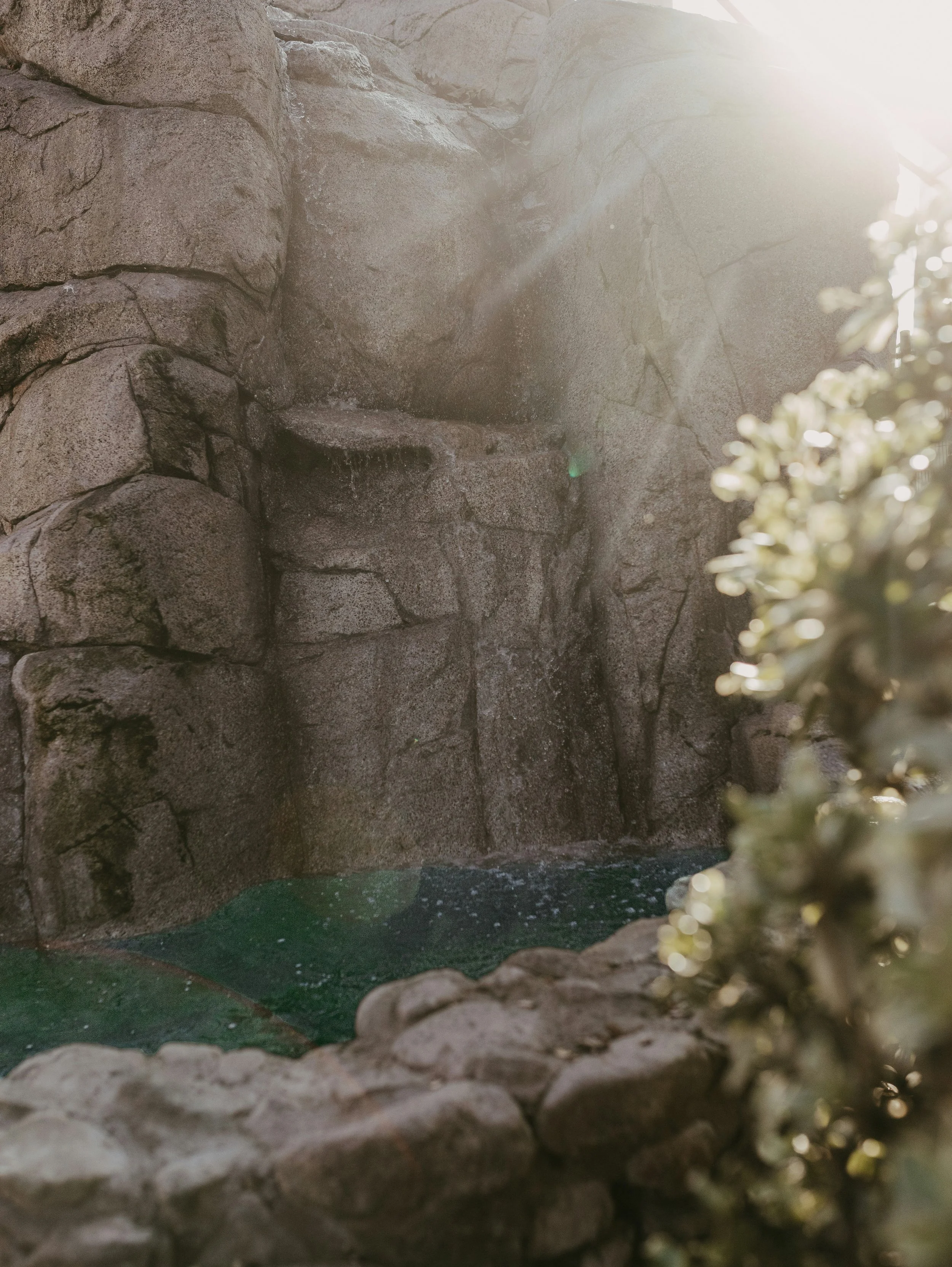 Calming water and stone imagery representing the shared amenities included with every therapy office membership.
