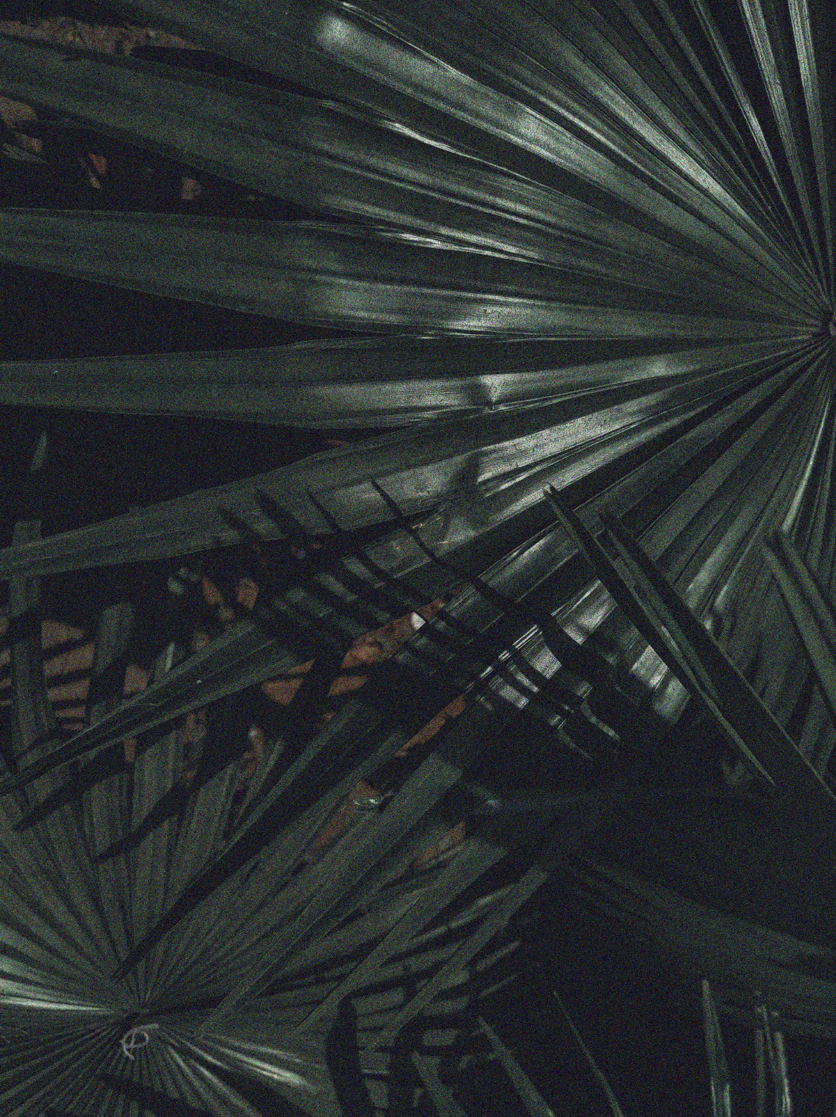 Natural light and lush greenery inside Luzia Therapy Suites, a boutique therapy office space in San Antonio.