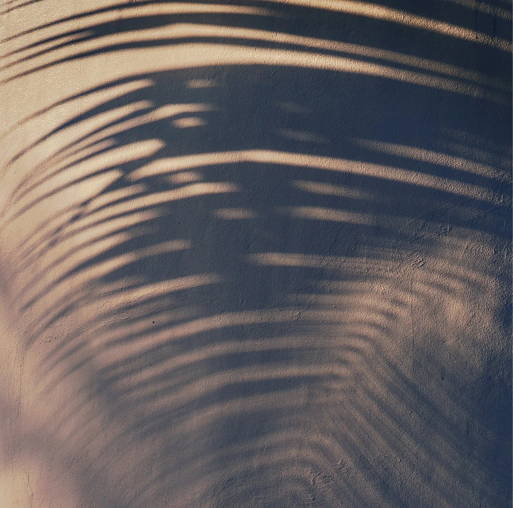 Soft plant shadows against a warm beige wall, creating a calm, nature-inspired atmosphere at Luzia Therapy Suites in San Antonio.