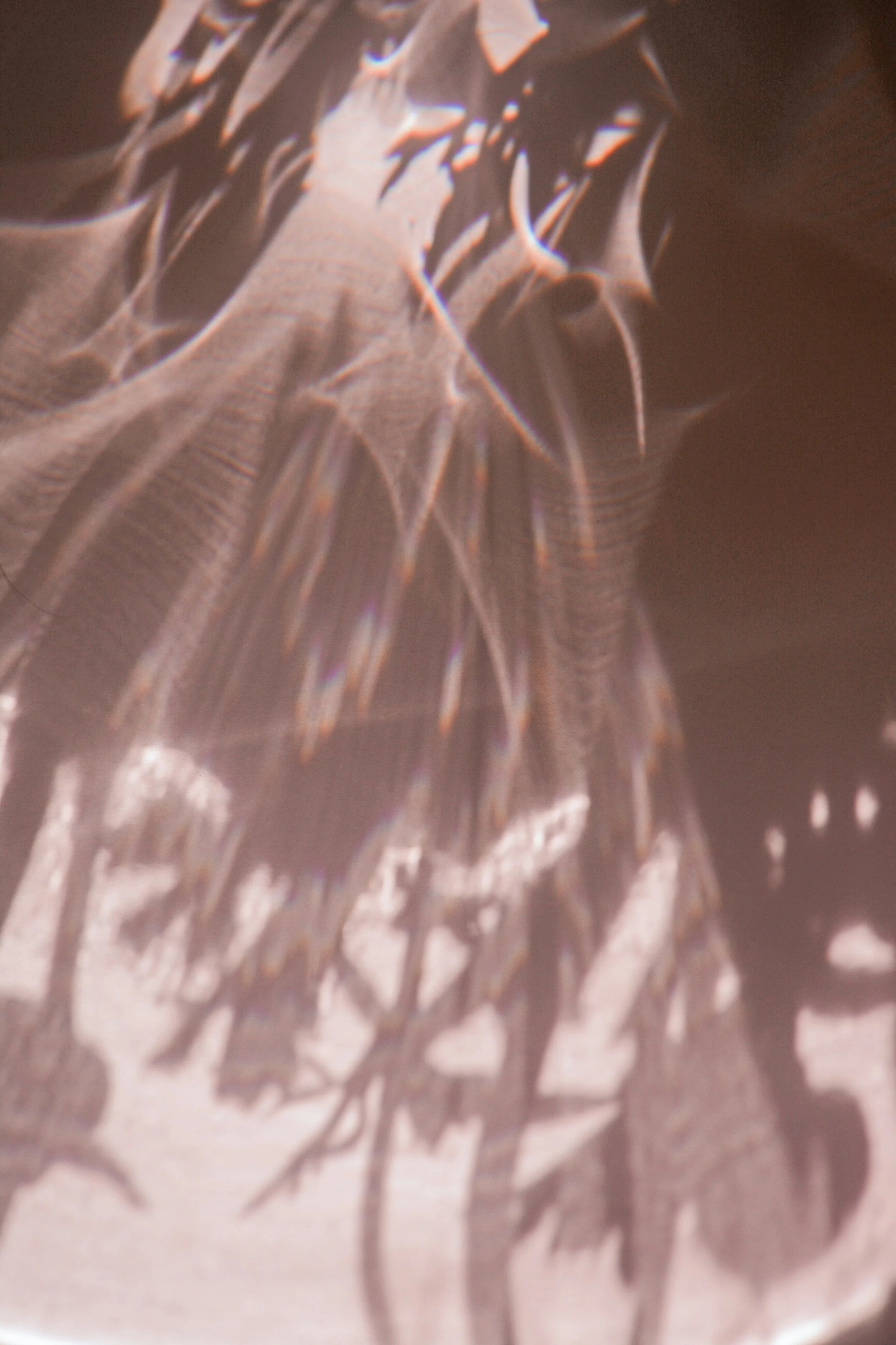 Water and greenery shadows representing the community-centered values behind Luzia Therapy Suites.