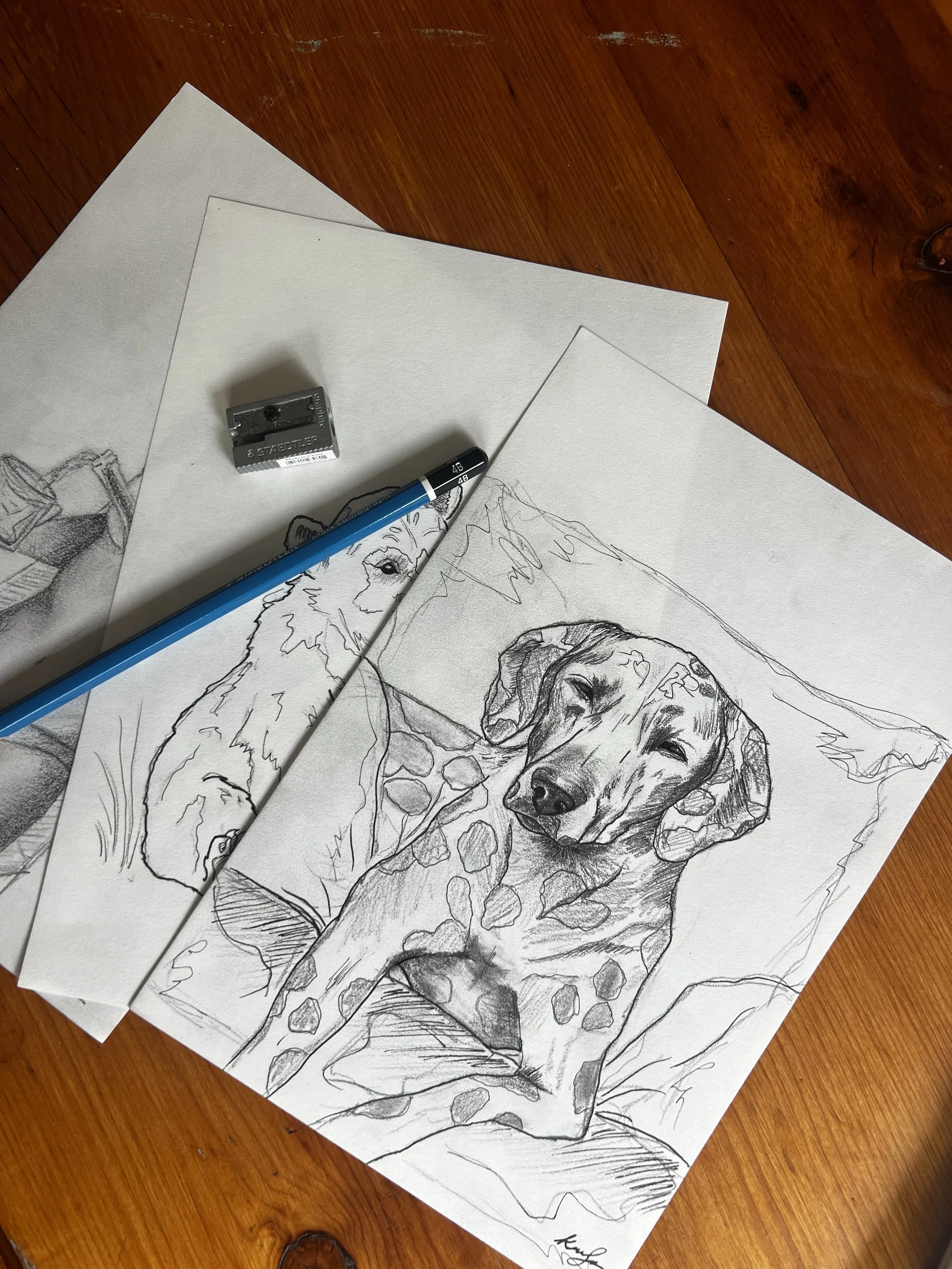 A pencil sketch of a Dalmatian dog lying on a blanket, with a second, partially visible sketches of the dog on nearby sheets of paper on a wooden table.
