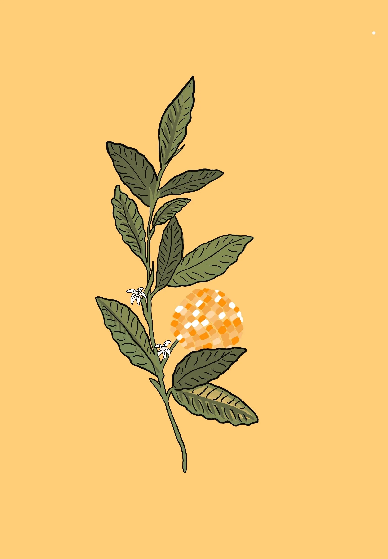 Illustration of a green leafy plant with small white flowers, with an orange and white mosaic sphere behind it on a yellow background.