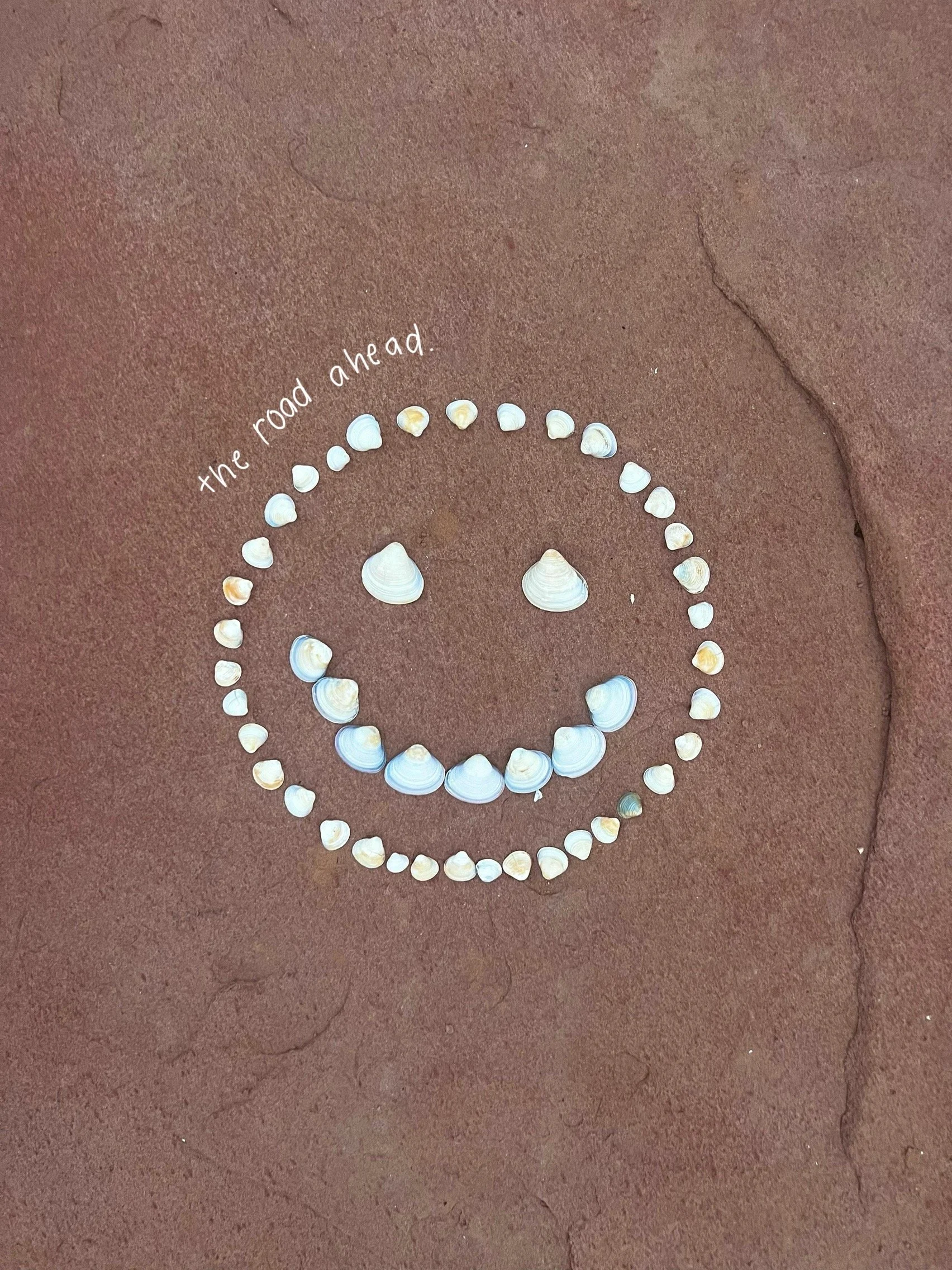Smiley face made of shells on sandy surface with the phrase 'the road ahead' curved above.