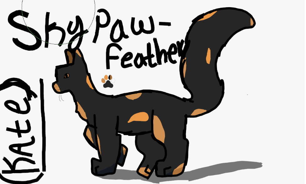 Me as a warrior cat! Made by fox; its an old design and I've changed my name, but it looks pretty good!!!