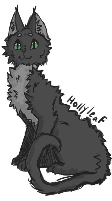 Hollyleaf!