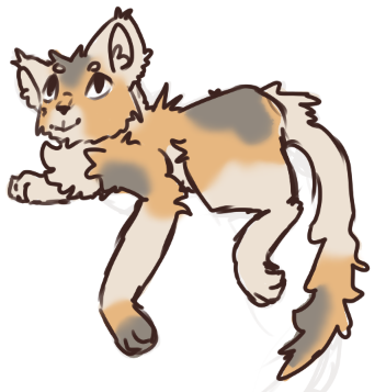 Just a cute lil kitty