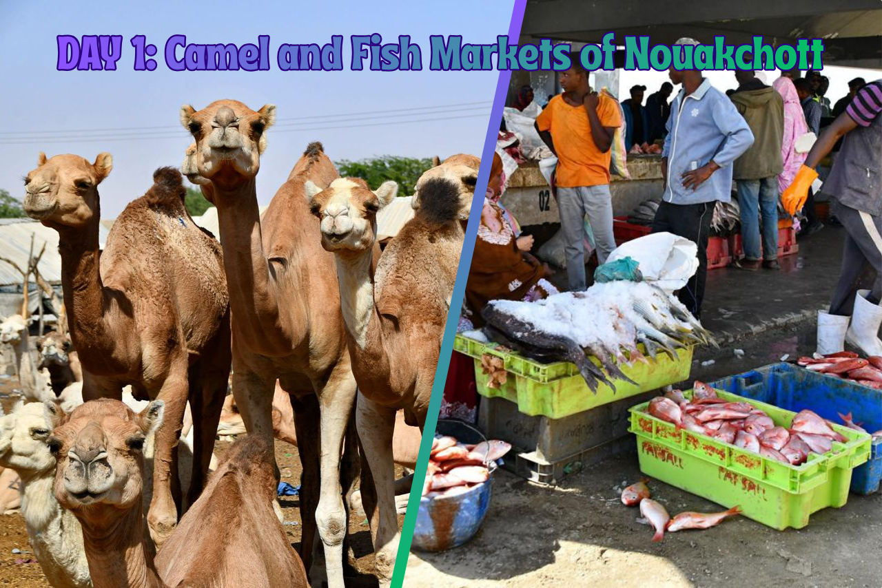 On the left side, a herd of camels. On the right side, a busy fish market with fresh fish being sold by local vendors.