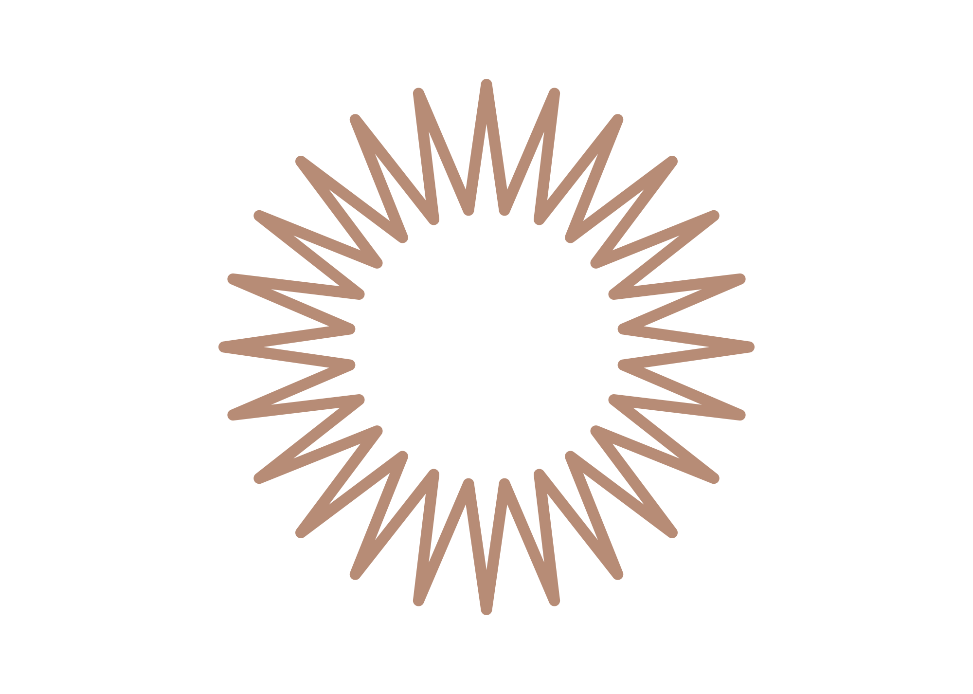 Brown spiral hair elastic on a white background.