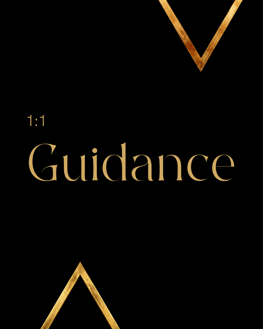 1:1 Guidance