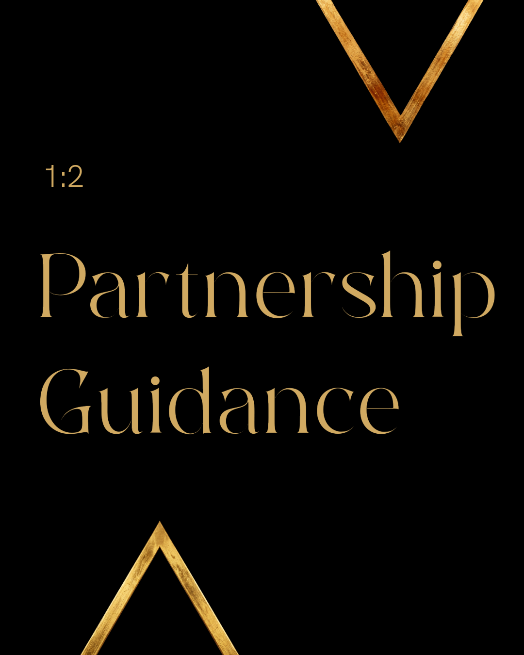 1:2 Partnership Guidance