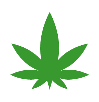 Green marijuana leaf with seven serrated leaflets on a black background.