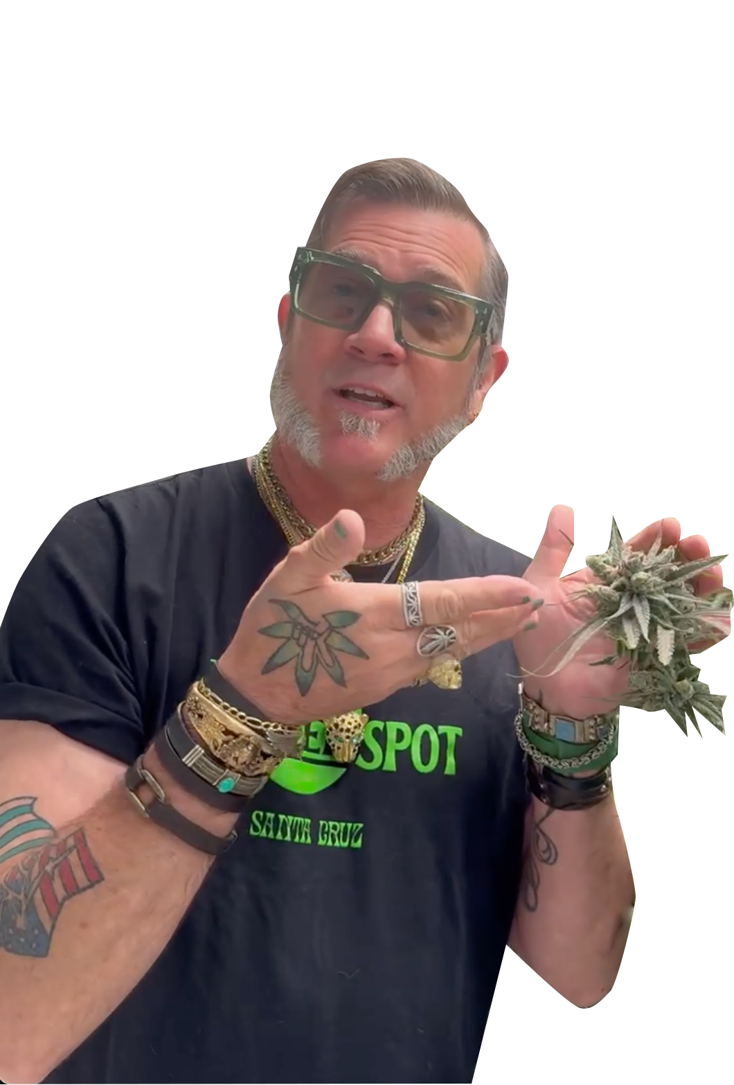 A man with tattoos, necklaces, and rings holding a cannabis plant, wearing glasses, and a black T-shirt with green text.
