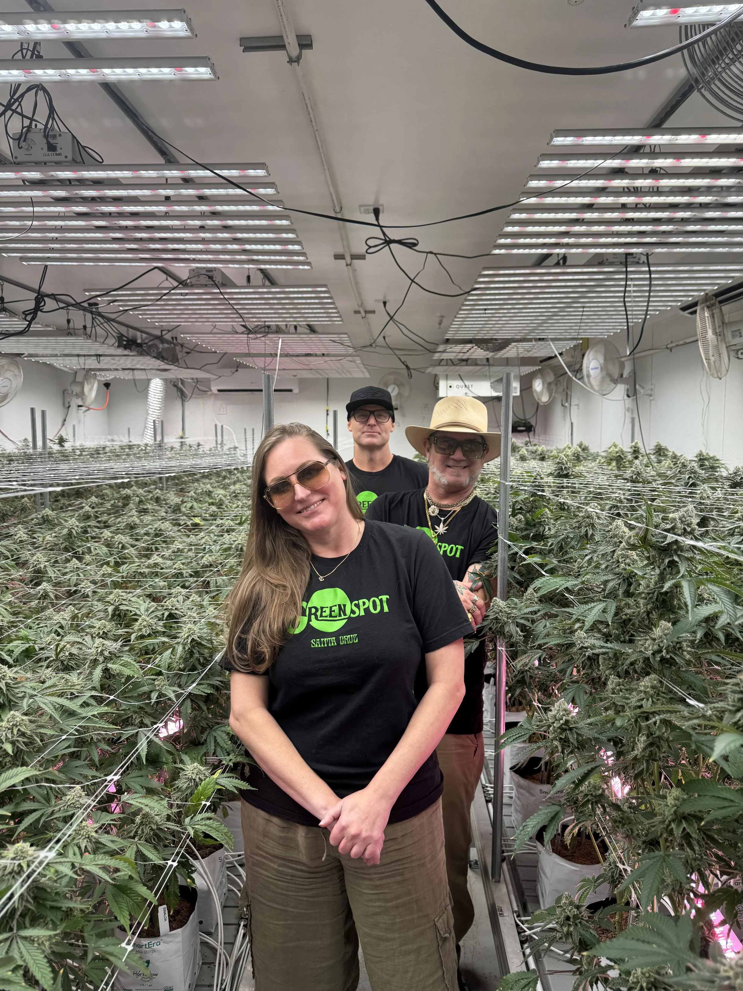 Three people standing in a cannabis grow room with plants on either side, under LED grow lights, wearing black 'GreenSpot' t-shirts.