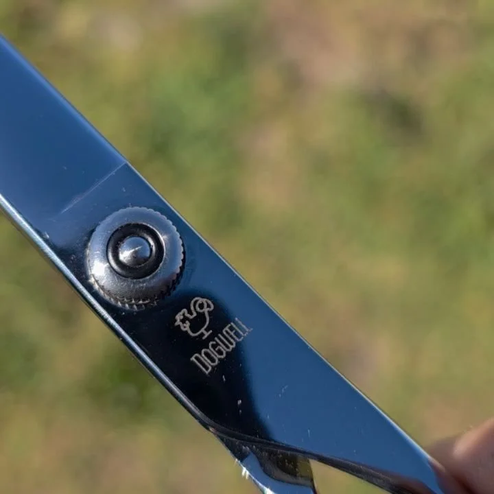 We present to you Dogwell

We have been working hard at bringing to your hard working hands a shear line / brand that has been manufactured since 1917 in Japan.

Part of the HSC (Certified 100% made in Japan - parts and assembly)

This is the DKV780 