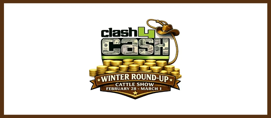 Clash 4 Cash Winter Round-up