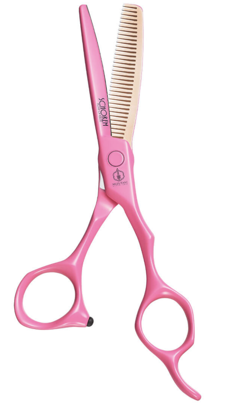 Mizutani - Schorem Master Blender