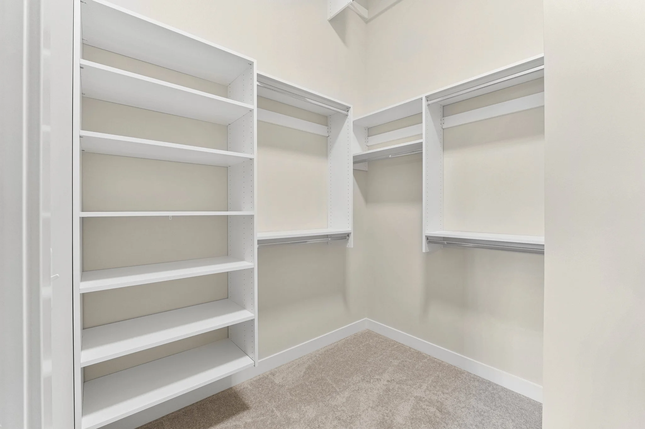 Empty walk-in closet with white shelves and beige carpet.