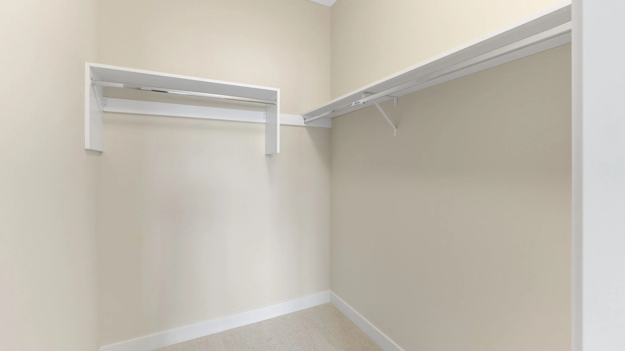 Empty walk-in closet with beige walls, white shelving, and carpeted floor.